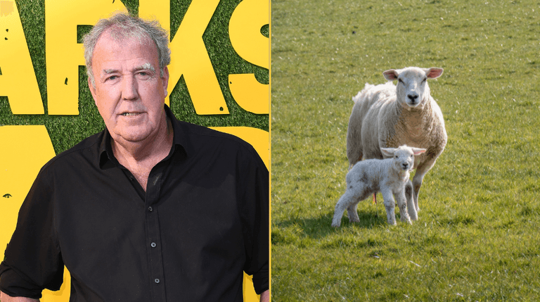 Jeremy Clarkson issues blunt warning after 11 sheep stolen from Diddly Squat Farm Jeremy Clarkson issues blunt warning after 11 sheep stolen from Diddly Squat Farm