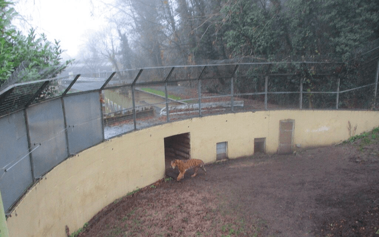 UK zoo hits back as visitors brand it a ‘zombie apocalypse’ with ‘sad and abandoned’ animals UK zoo hits back as visitors brand it a ‘zombie apocalypse’ with ‘sad and abandoned’ animals