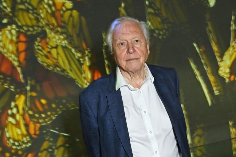 The one animal David Attenborough ‘hates’ as legendary environmentalist turns 100 The one animal David Attenborough ‘hates’ as legendary environmentalist turns 100