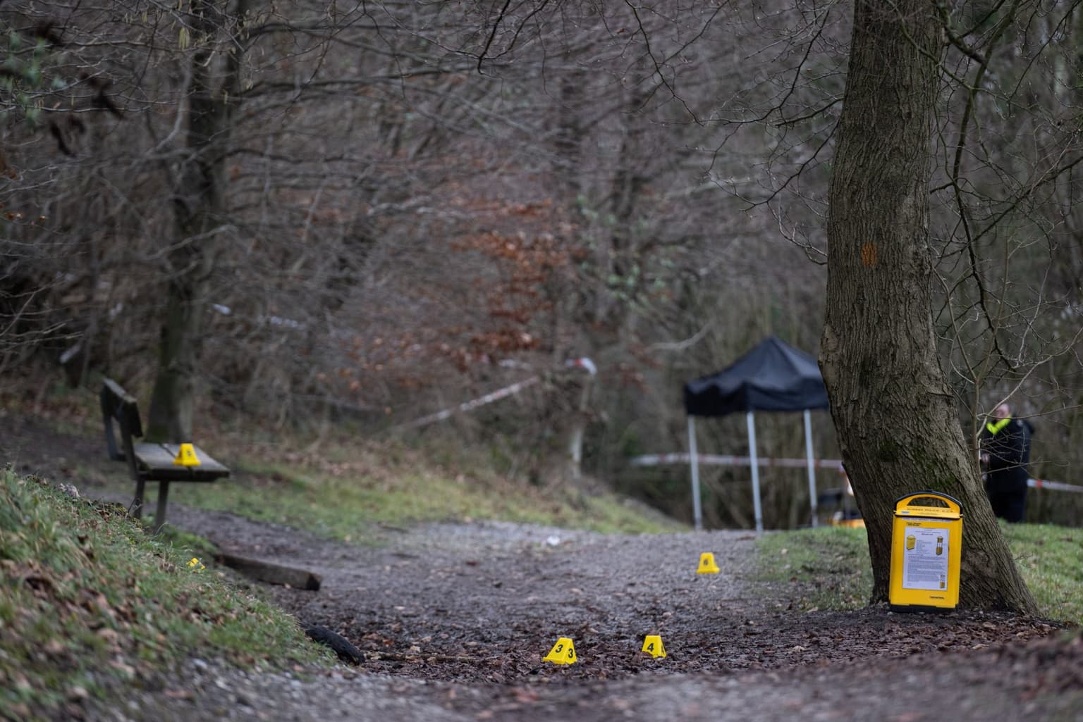 Dachshunds seized after woman mauled to death in horrific Surrey dog attack