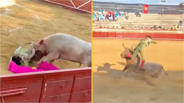 Bullfighter gored in the rectum and thrown in the air as horrified spectators watch on Bullfighter gored in the rectum and thrown in the air as horrified spectators watch on