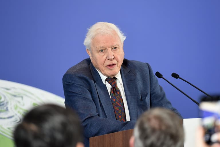 Sir David Attenborough and rapper Dave team up for Planet Earth special episode Sir David Attenborough and rapper Dave team up for Planet Earth special episode