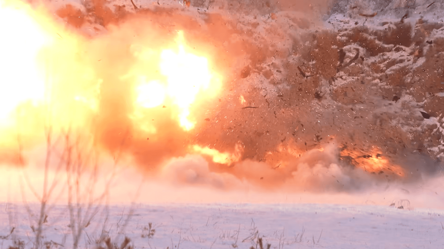Tesla owner blows up car and burns Musk effigy in protest at cost of replacing battery