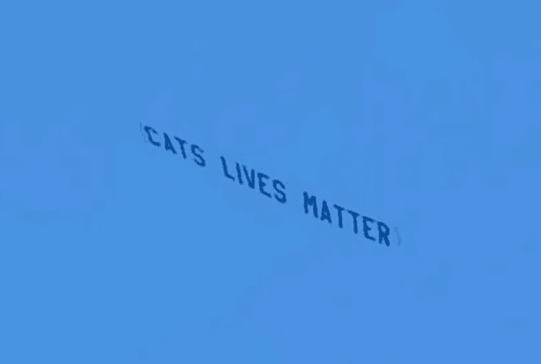 ‘Cats’ Lives Matter’ banner flies over Anfield during Liverpool-West Ham game