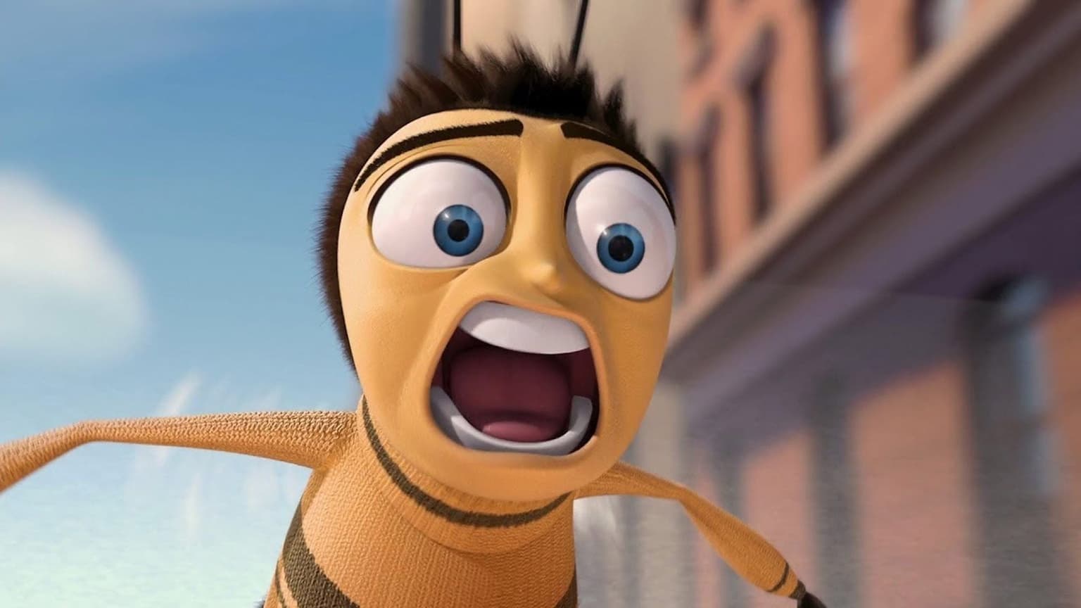 People are being urged to not kill flies and wasps invading their homes, no matter how annoying