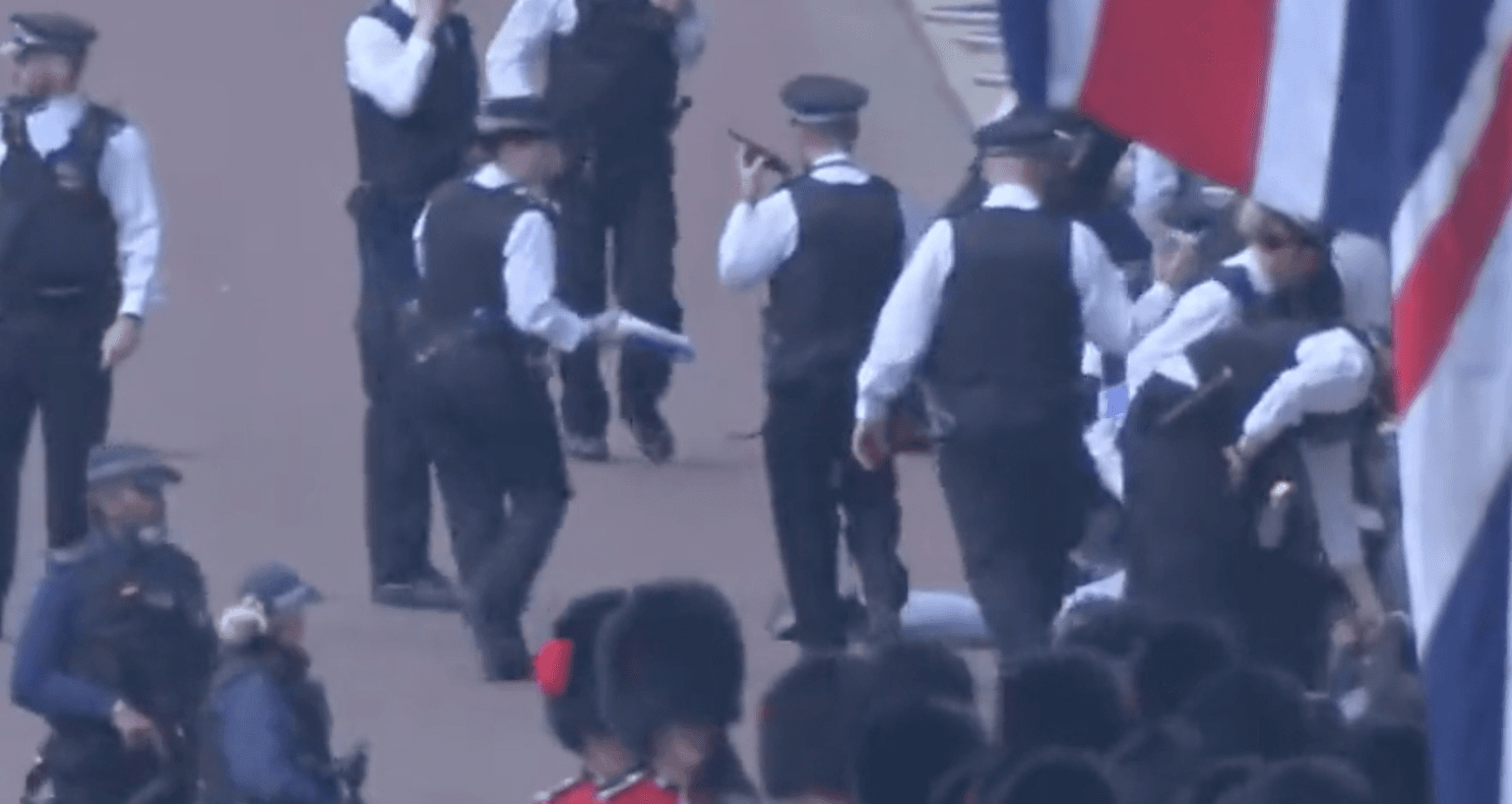 Dramatic moment police swarm on protesters as Trooping the colour gets underway