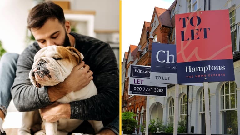Here’s all the changes that are coming into place for tenants this week Here’s all the changes that are coming into place for tenants this week