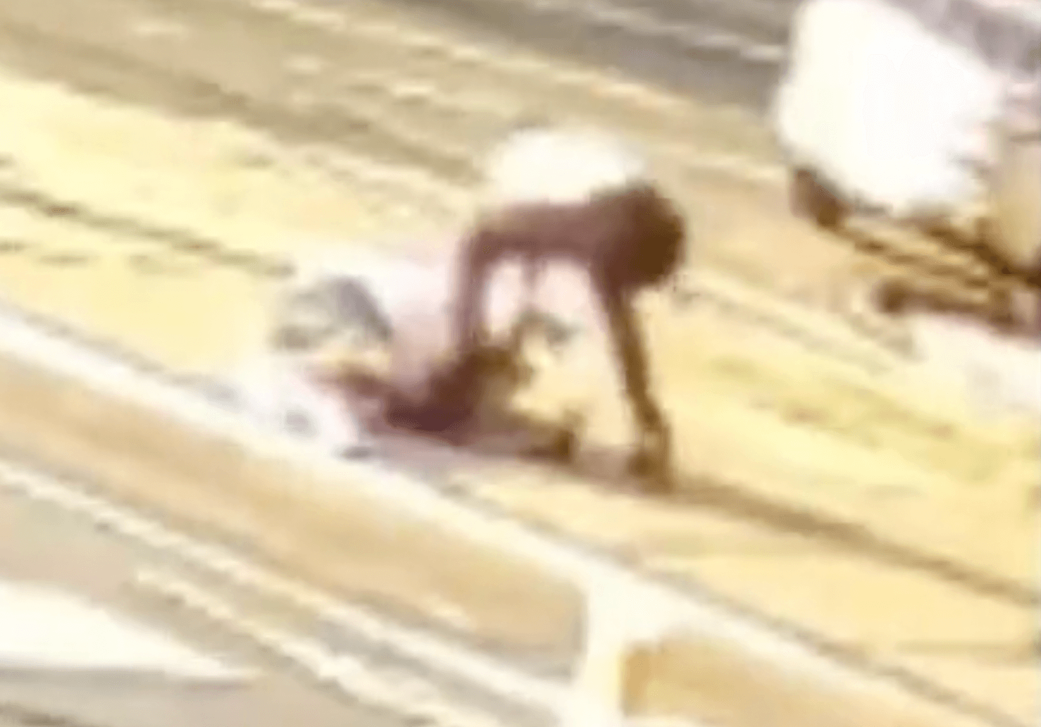 Moment pedestrian is knocked down by motorist – then robbed as they lay in critical condition on road