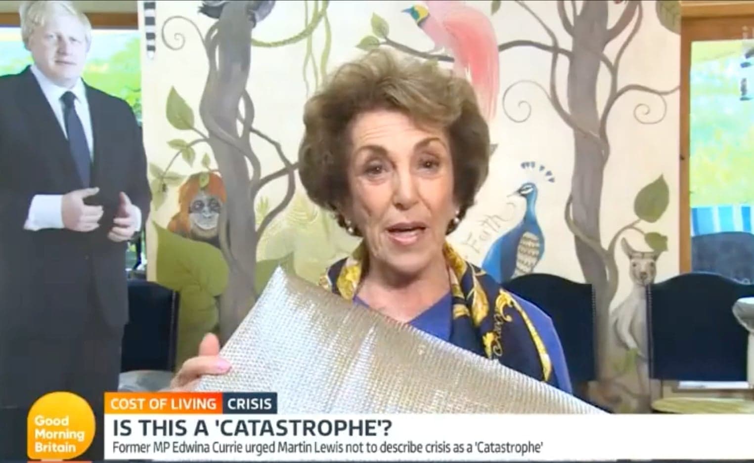 Martin Lewis in despair as Edwina Currie gives energy advice sat next to Boris Johnson cut out