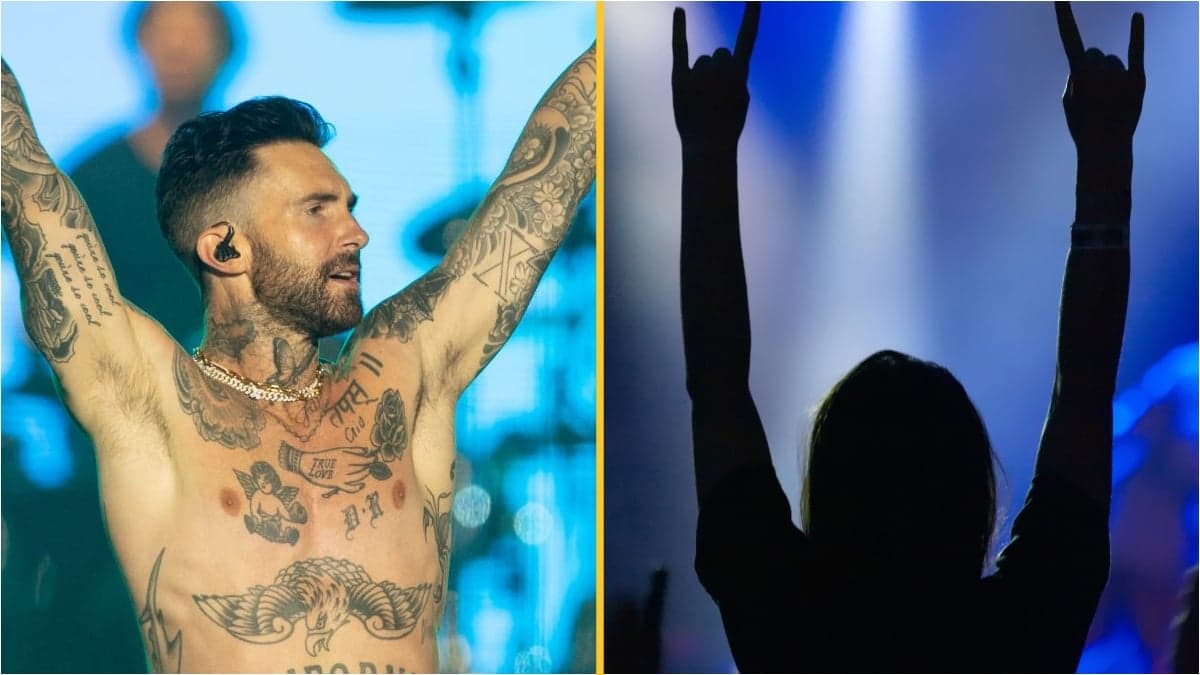 Adam Levine says ‘no hot chicks’ listen to heavy metal