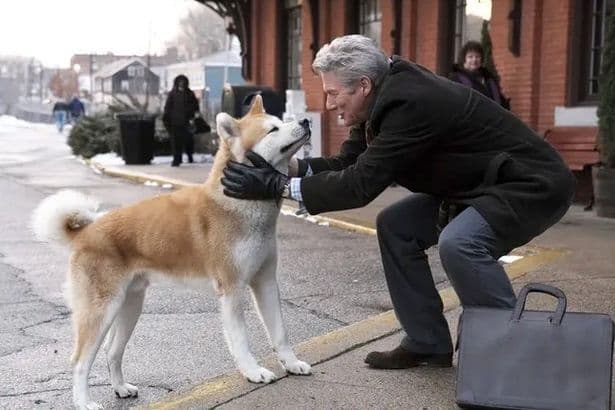 Netflix fans left on the verge of ‘throwing up’ and issue warning about ‘upsetting’ dog movie