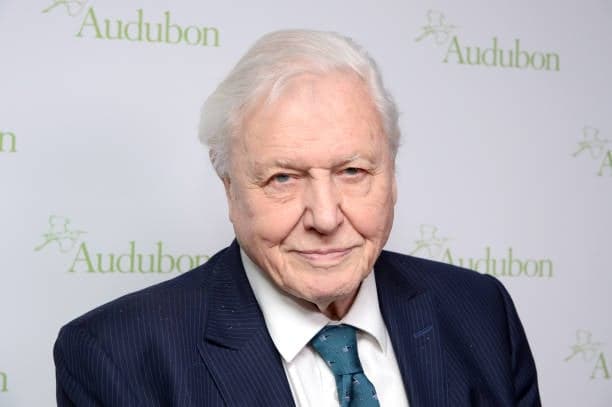 Sir David Attenborough says he is ‘not afraid of death’ as he prepares for 100th birthday Sir David Attenborough says he is ‘not afraid of death’ as he prepares for 100th birthday