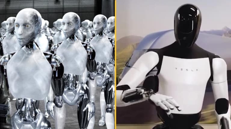 Experts reveal the 11 jobs that will be safe from being taken over by AI Experts reveal the 11 jobs that will be safe from being taken over by AI