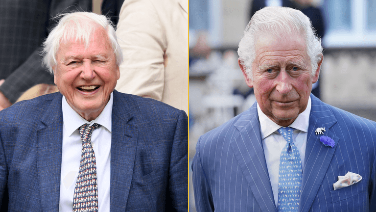 Two thirds of Gen-Z want Sir David Attenborough to be King Two thirds of Gen-Z want Sir David Attenborough to be King