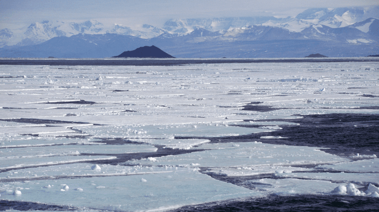 Stark warning issued over Antarctic Ice Sheet that is ‘on verge of collapsing’ Stark warning issued over Antarctic Ice Sheet that is ‘on verge of collapsing’