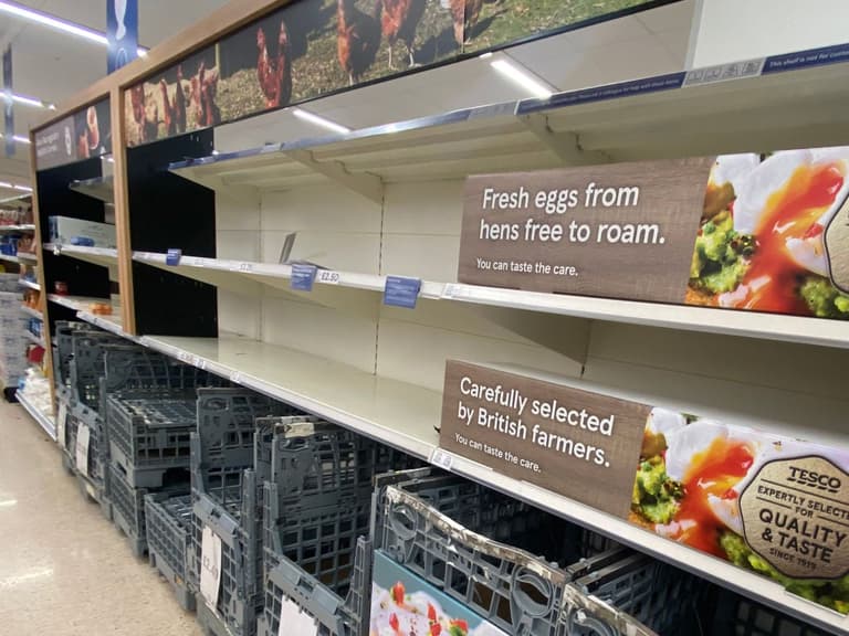 UK preparing for food shortages in weeks as secret government plans revealed UK preparing for food shortages in weeks as secret government plans revealed