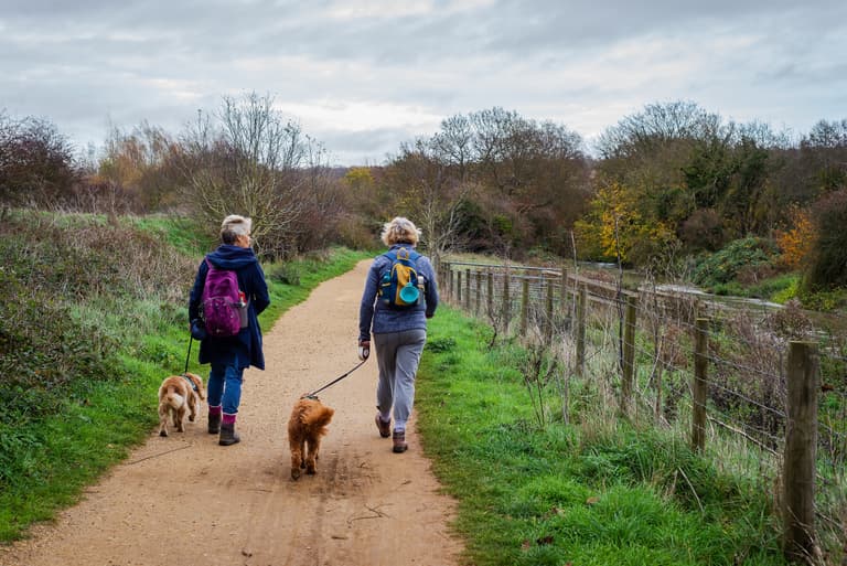 NHS to reward people for walking 30 minutes a day NHS to reward people for walking 30 minutes a day
