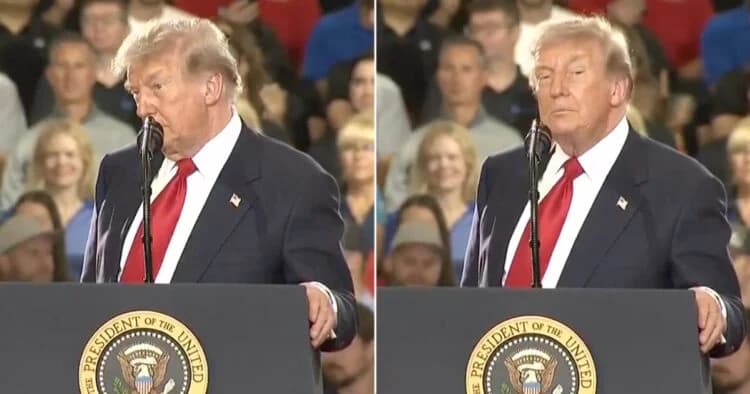‘Paedophile protector!’ – Donald Trump heckled by protestors during rally ‘Paedophile protector!’ – Donald Trump heckled by protestors during rally