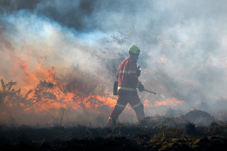 The summer Britain realised climate change was real – and has consequences The summer Britain realised climate change was real – and has consequences