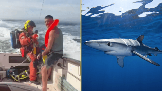 Man airlifted to hospital after shark attack off Irish coast speaks out Man airlifted to hospital after shark attack off Irish coast speaks out