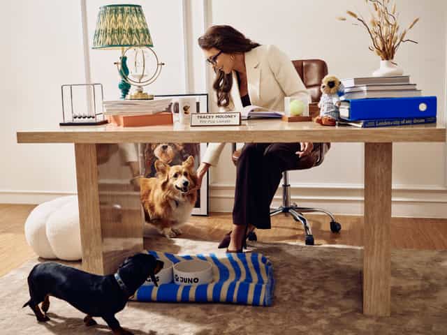 British couples urged to consider getting a ‘pre-pup’ to decide who keeps the pet after a break-up British couples urged to consider getting a ‘pre-pup’ to decide who keeps the pet after a break-up