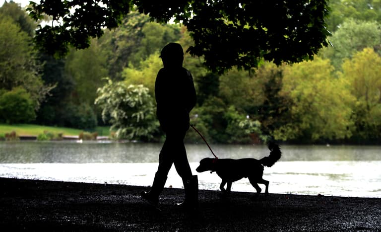 Dog walker killer given indefinite hospital order Dog walker killer given indefinite hospital order
