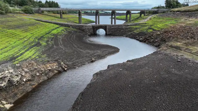 Severe drought declared in six UK counties Severe drought declared in six UK counties
