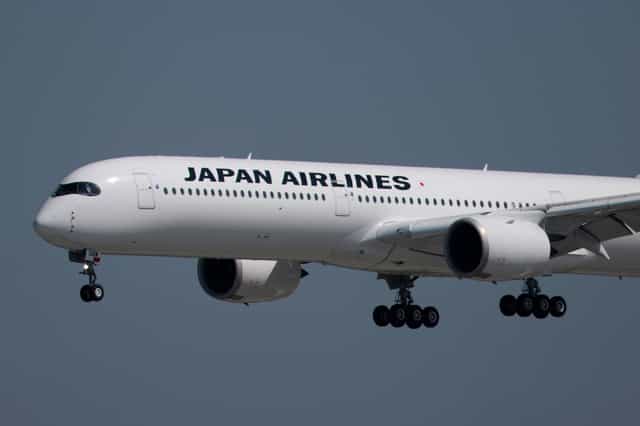 Flight cancelled after snake found on plane in first of its kind incident Flight cancelled after snake found on plane in first of its kind incident