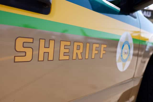 Mum arrested after allegedly leaving children home alone during Vegas trip Mum arrested after allegedly leaving children home alone during Vegas trip