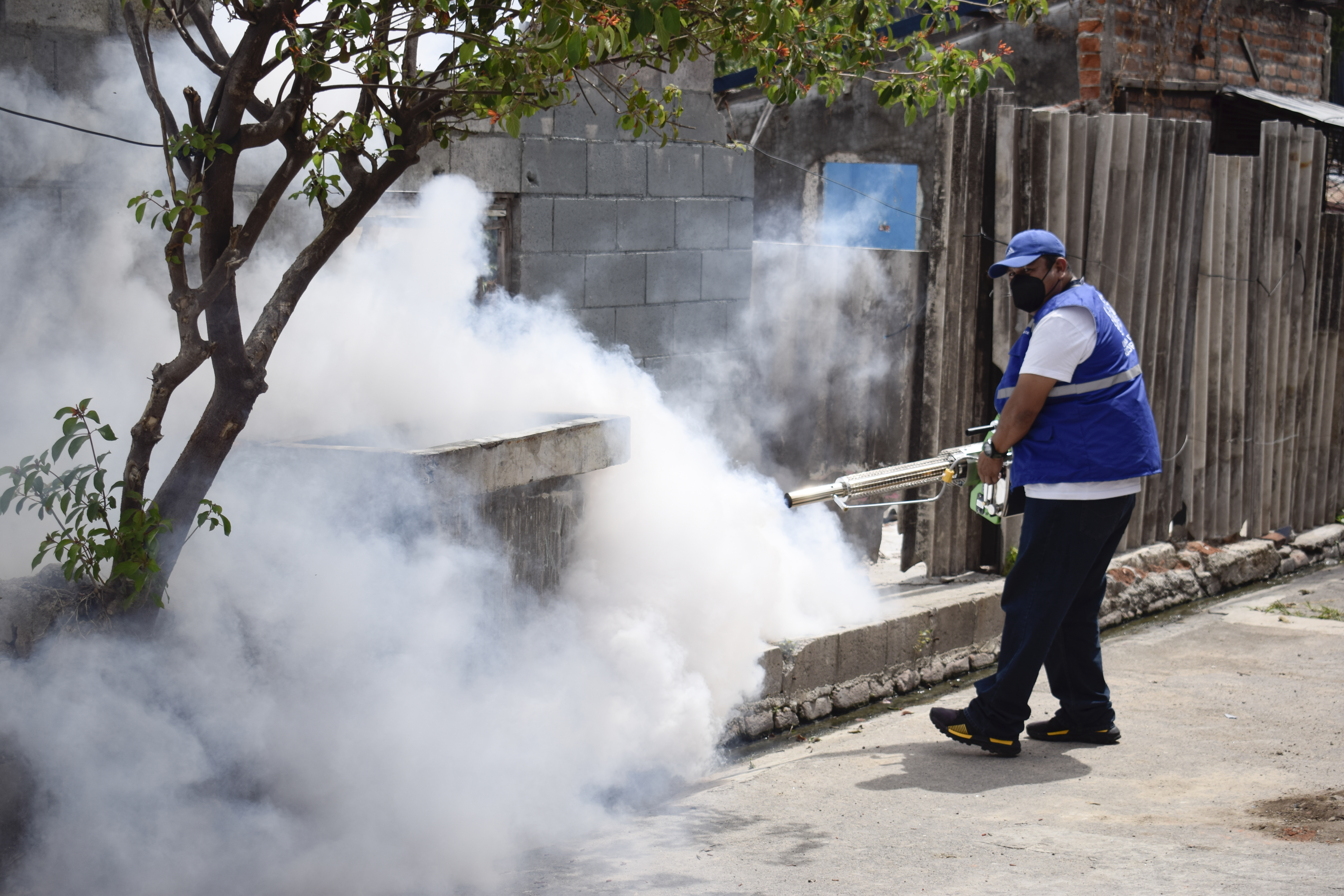 Here’s everything we know about Chikungunya virus as cases rise in UK Here’s everything we know about Chikungunya virus as cases rise in UK