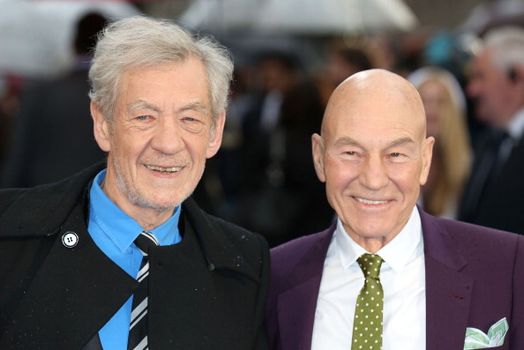 ian mckellen partner brian taylor