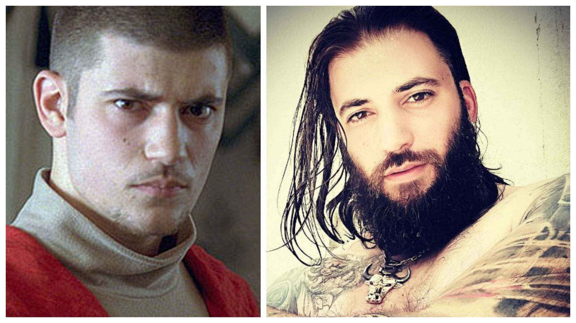 viktor krum harry potter and the deathly hallows
