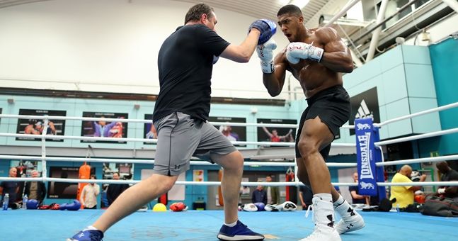 David Price On Dropping Joshua In Sparring: 'He Had To Get Helped Up