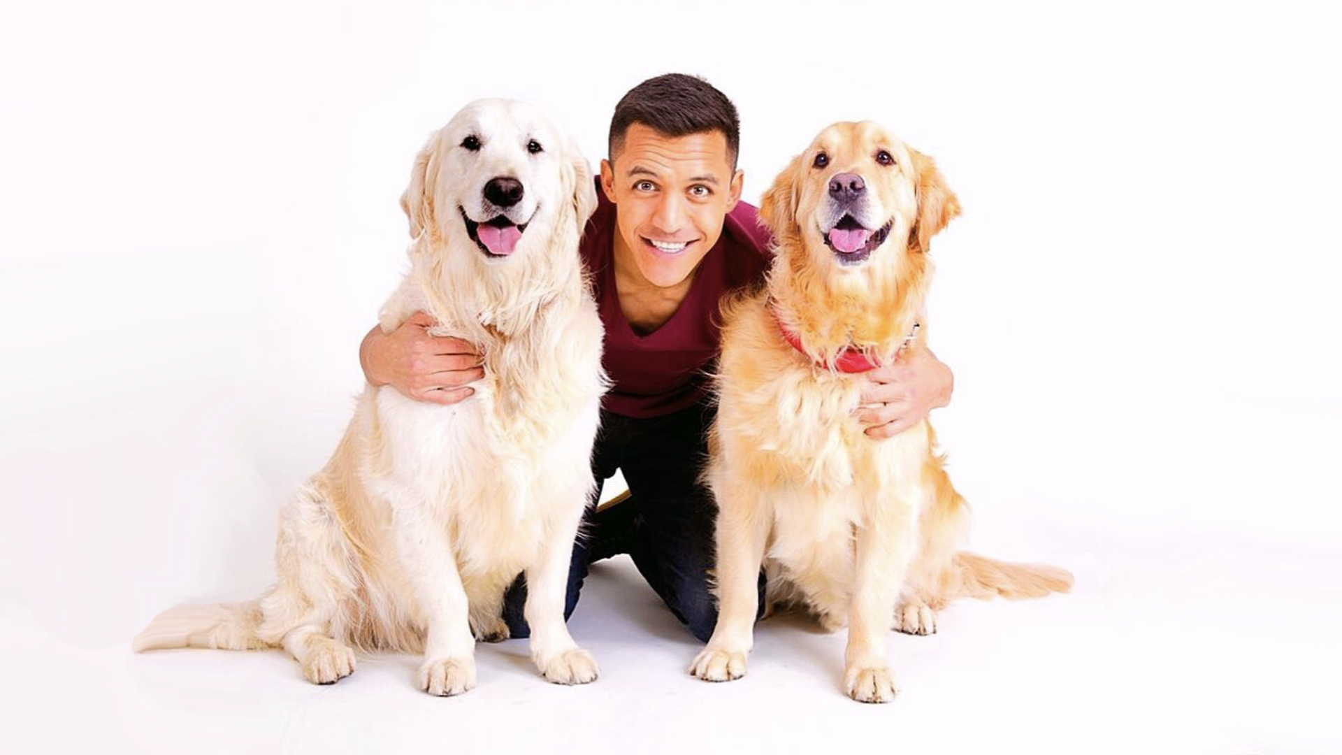 Exclusive interview with Alexis Sánchez's dogs, Atom and Humber - JOE.co.uk