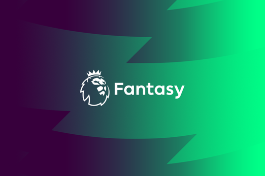 Fantasy Premier League winner disqualified over 'player comments', Fantasy  Football