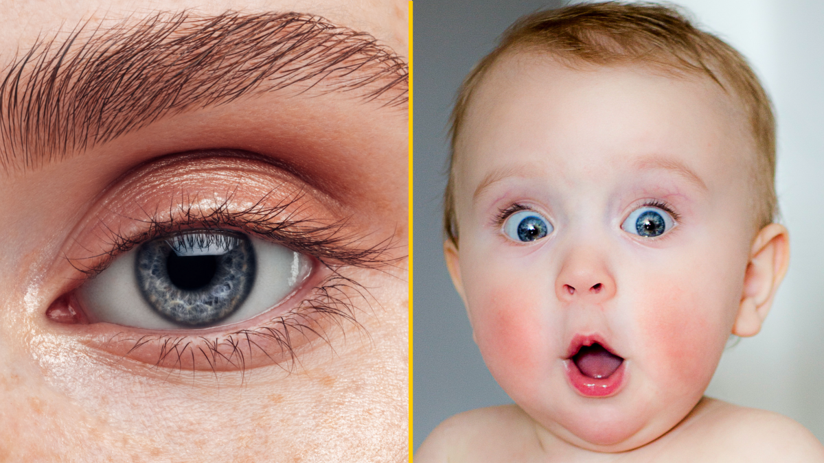 Everyone With Blue Eyes May Descend From a Single Human Ancestor