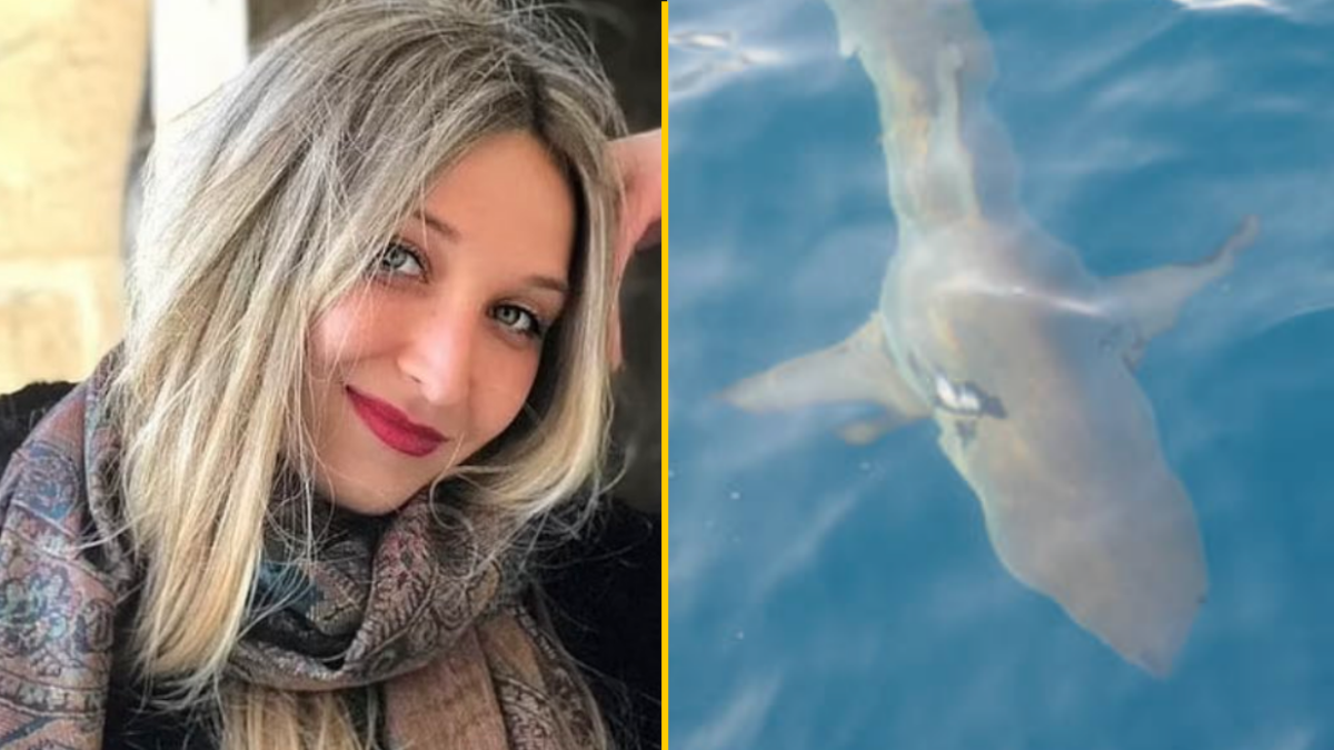 Terrifying Moment Snorkeler Bitten By 220lb Shark Off Maldives Coast Uk 7059