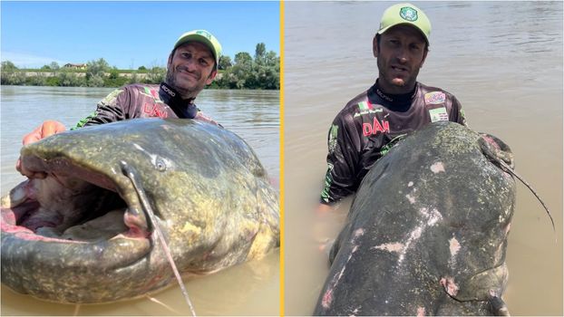 'Monster' 2.85m catfish caught during epic struggle could be a world ...