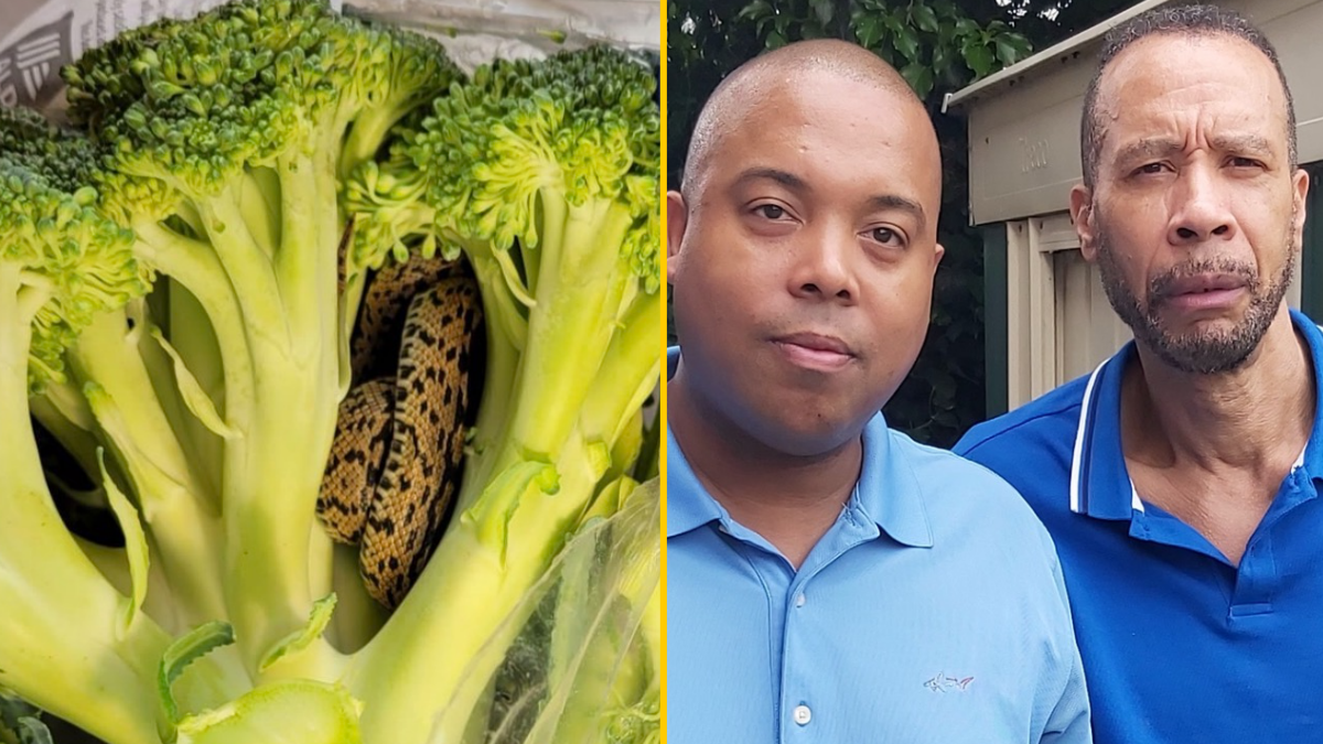 Grandad finds snake in his Aldi broccoli JOE.co.uk