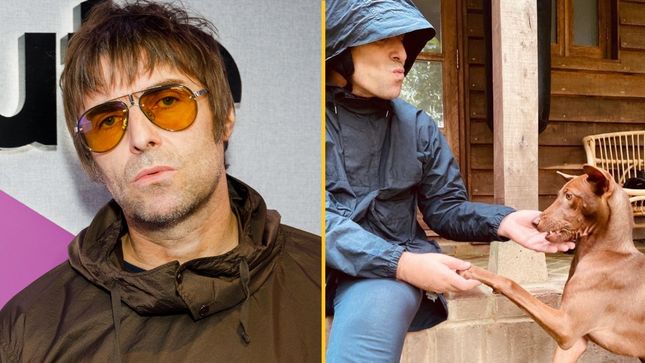 Liam Gallagher adopts stray dog from Thailand after application stuns ...