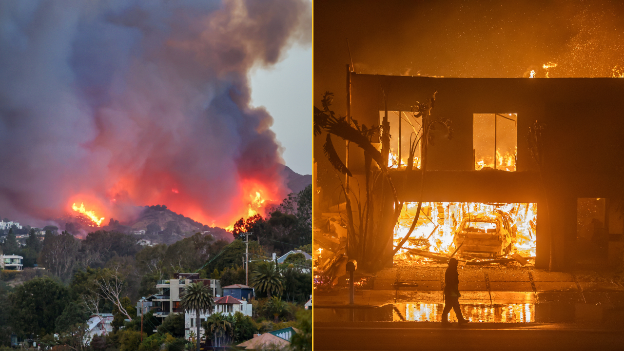 LA wildfires: Here's everything we know and what caused them